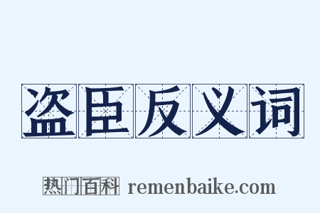 盗臣反义词是什么意思的图片